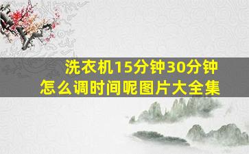 洗衣机15分钟30分钟怎么调时间呢图片大全集