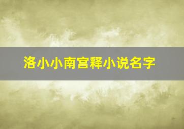 洛小小南宫释小说名字