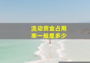 流动资金占用率一般是多少