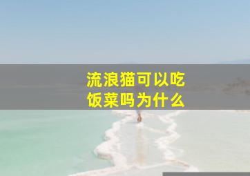 流浪猫可以吃饭菜吗为什么