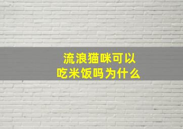 流浪猫咪可以吃米饭吗为什么