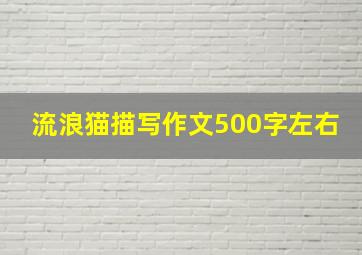 流浪猫描写作文500字左右