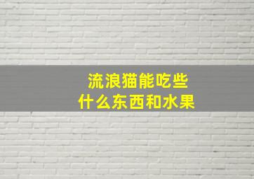 流浪猫能吃些什么东西和水果