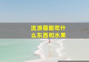 流浪猫能吃什么东西和水果