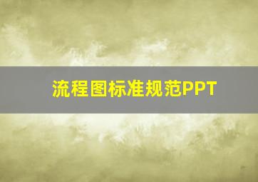 流程图标准规范PPT