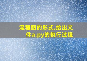 流程图的形式,给出文件a.py的执行过程