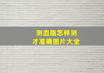 测血脂怎样测才准确图片大全