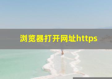 浏览器打开网址https