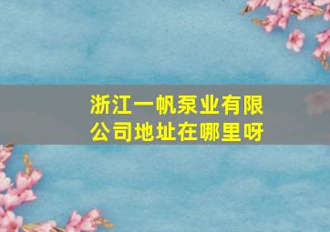 浙江一帆泵业有限公司地址在哪里呀