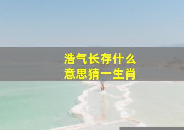 浩气长存什么意思猜一生肖