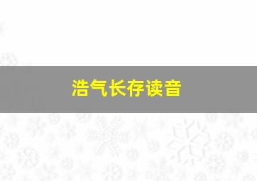 浩气长存读音