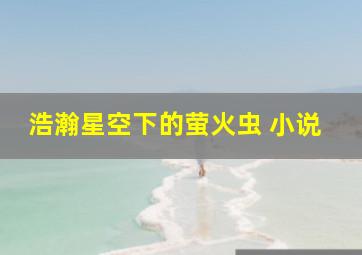 浩瀚星空下的萤火虫 小说