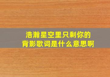 浩瀚星空里只剩你的背影歌词是什么意思啊