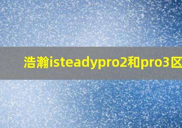 浩瀚isteadypro2和pro3区别