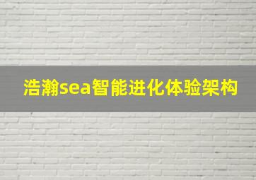 浩瀚sea智能进化体验架构