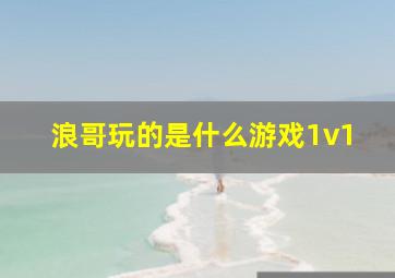 浪哥玩的是什么游戏1v1