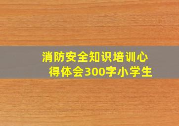 消防安全知识培训心得体会300字小学生