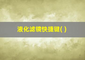 液化滤镜快捷键( )