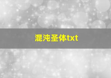 混沌圣体txt