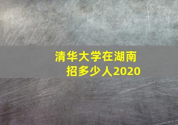 清华大学在湖南招多少人2020