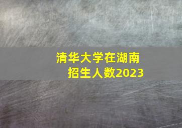 清华大学在湖南招生人数2023