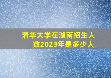 清华大学在湖南招生人数2023年是多少人