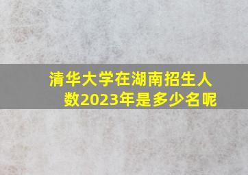 清华大学在湖南招生人数2023年是多少名呢