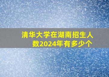 清华大学在湖南招生人数2024年有多少个