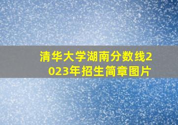 清华大学湖南分数线2023年招生简章图片