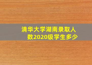 清华大学湖南录取人数2020级学生多少