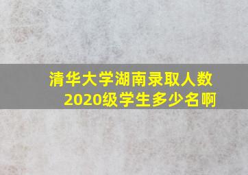 清华大学湖南录取人数2020级学生多少名啊