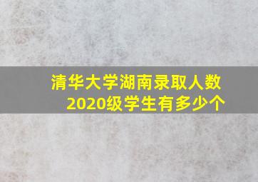 清华大学湖南录取人数2020级学生有多少个