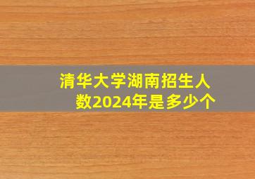 清华大学湖南招生人数2024年是多少个