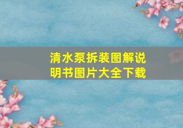 清水泵拆装图解说明书图片大全下载