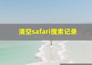 清空safari搜索记录