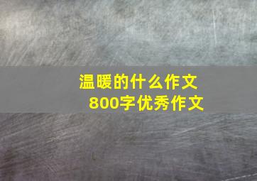 温暖的什么作文800字优秀作文