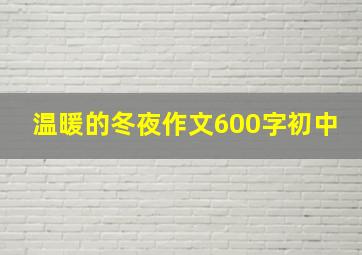 温暖的冬夜作文600字初中