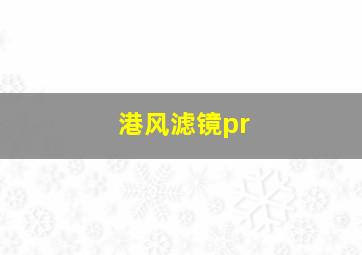 港风滤镜pr