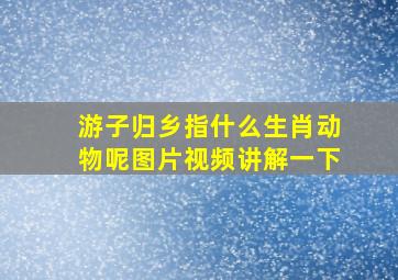 游子归乡指什么生肖动物呢图片视频讲解一下