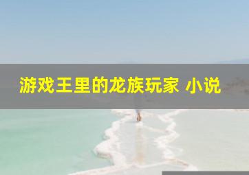 游戏王里的龙族玩家 小说