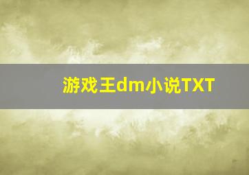 游戏王dm小说TXT