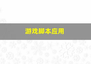 游戏脚本应用