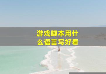 游戏脚本用什么语言写好看