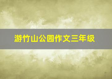 游竹山公园作文三年级