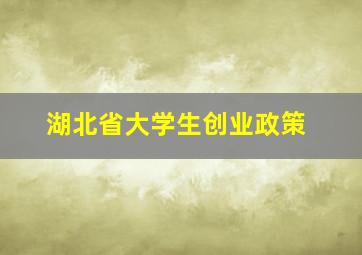 湖北省大学生创业政策