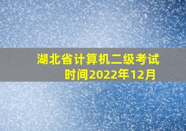 湖北省计算机二级考试时间2022年12月