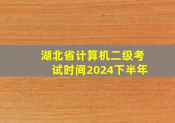 湖北省计算机二级考试时间2024下半年