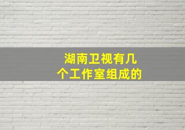 湖南卫视有几个工作室组成的