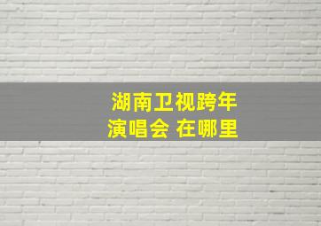 湖南卫视跨年演唱会 在哪里