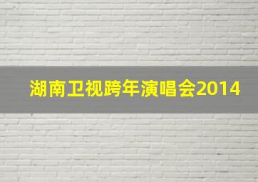 湖南卫视跨年演唱会2014